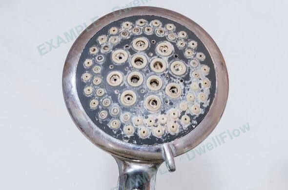 Shower head (handheld) — Bathroom (First floor)