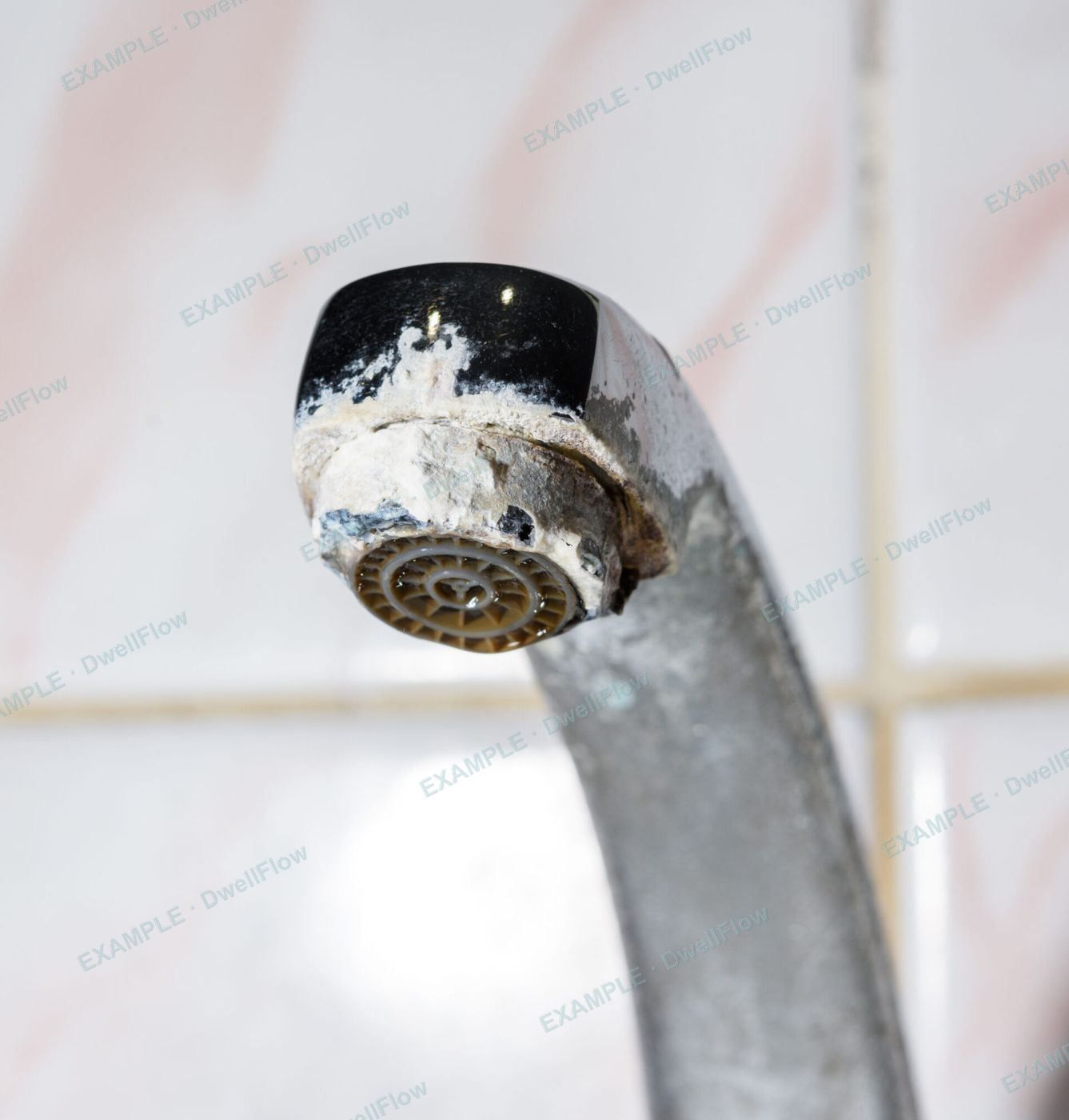 Limescale — Kitchen