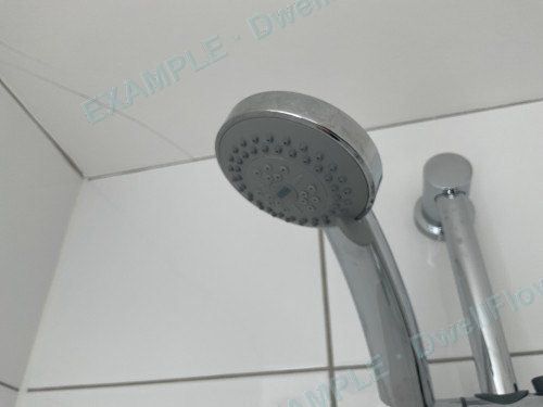 Shower head (handheld) — Bathroom (First floor)